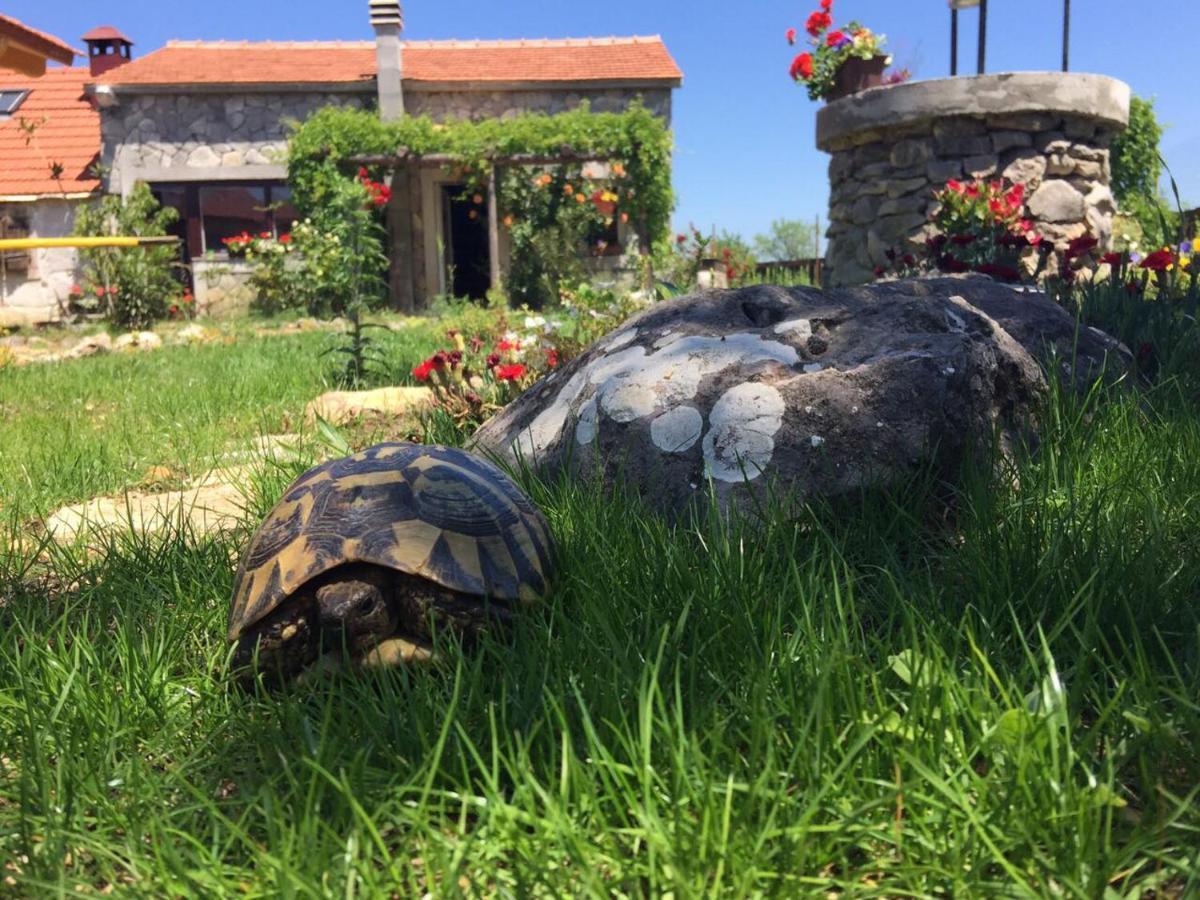 Villa Kuca Za Odmor Joko I Jeka Bogatić Esterno foto